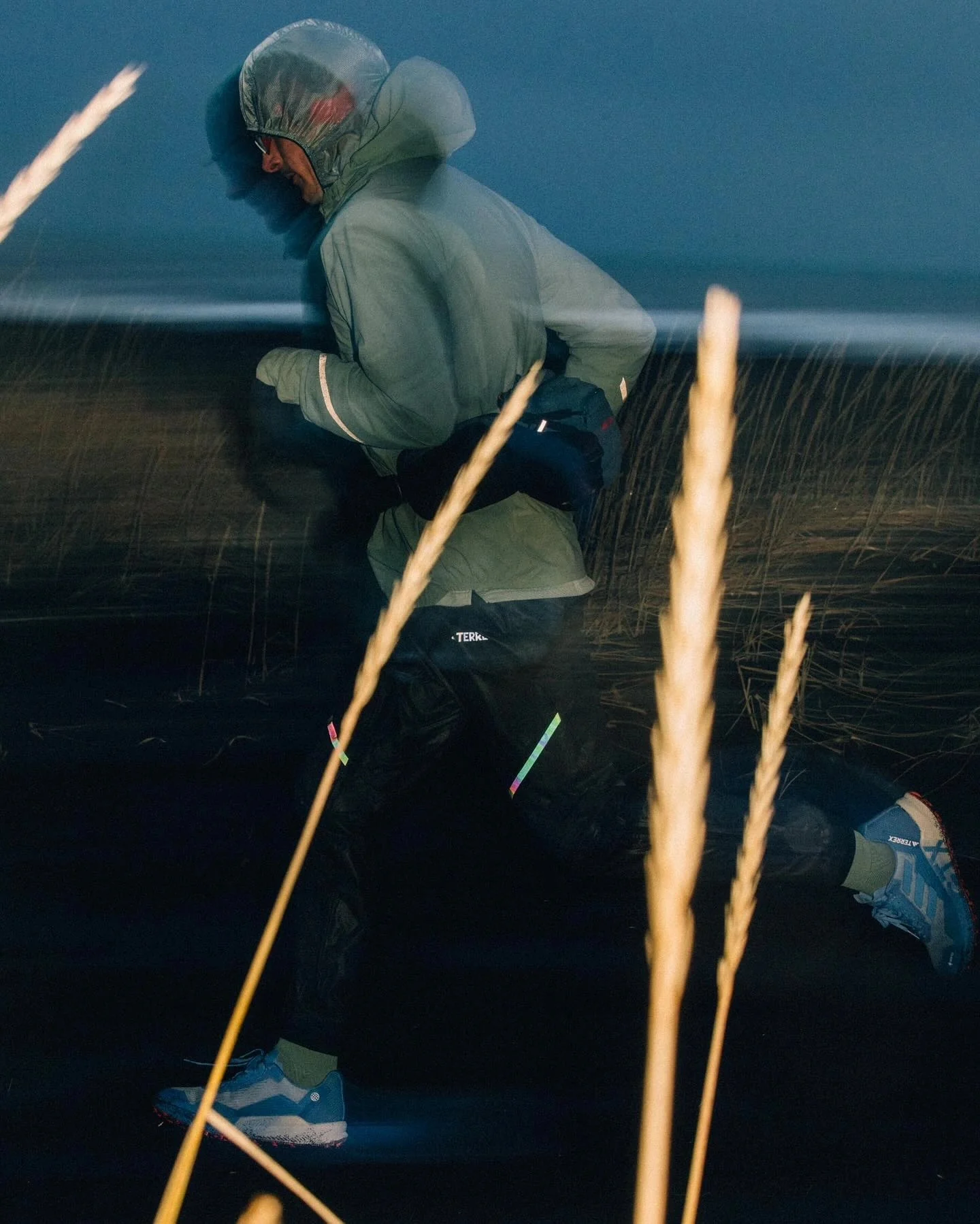 A runner in a hooded jacket moving through tall grass at dusk